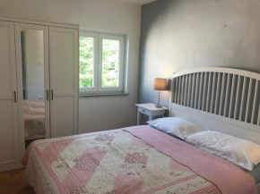 Отель Apartments Barbara  Цриквеница